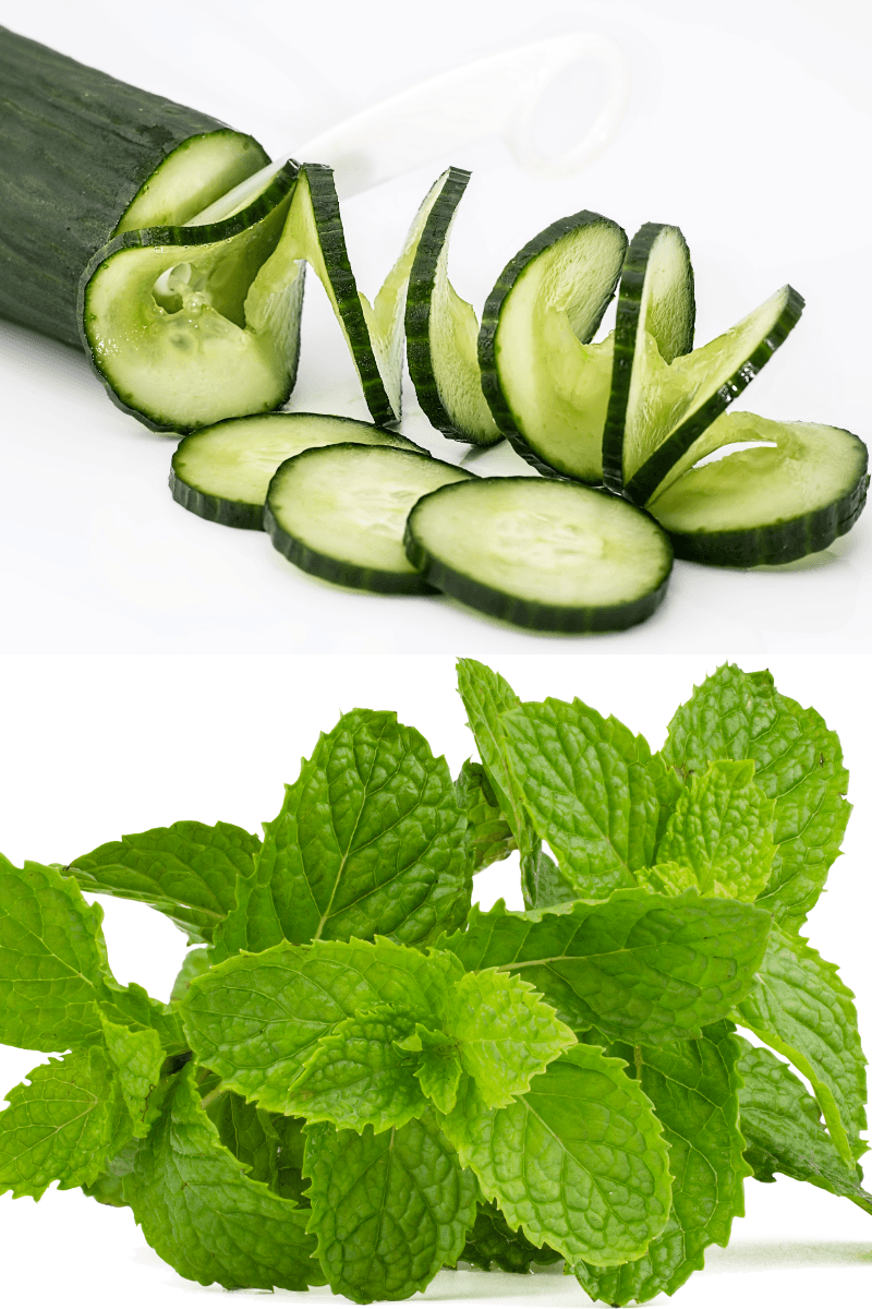Cucumber and mint face toner for refreshing and calming acne-prone skin | skincaresolutions.in