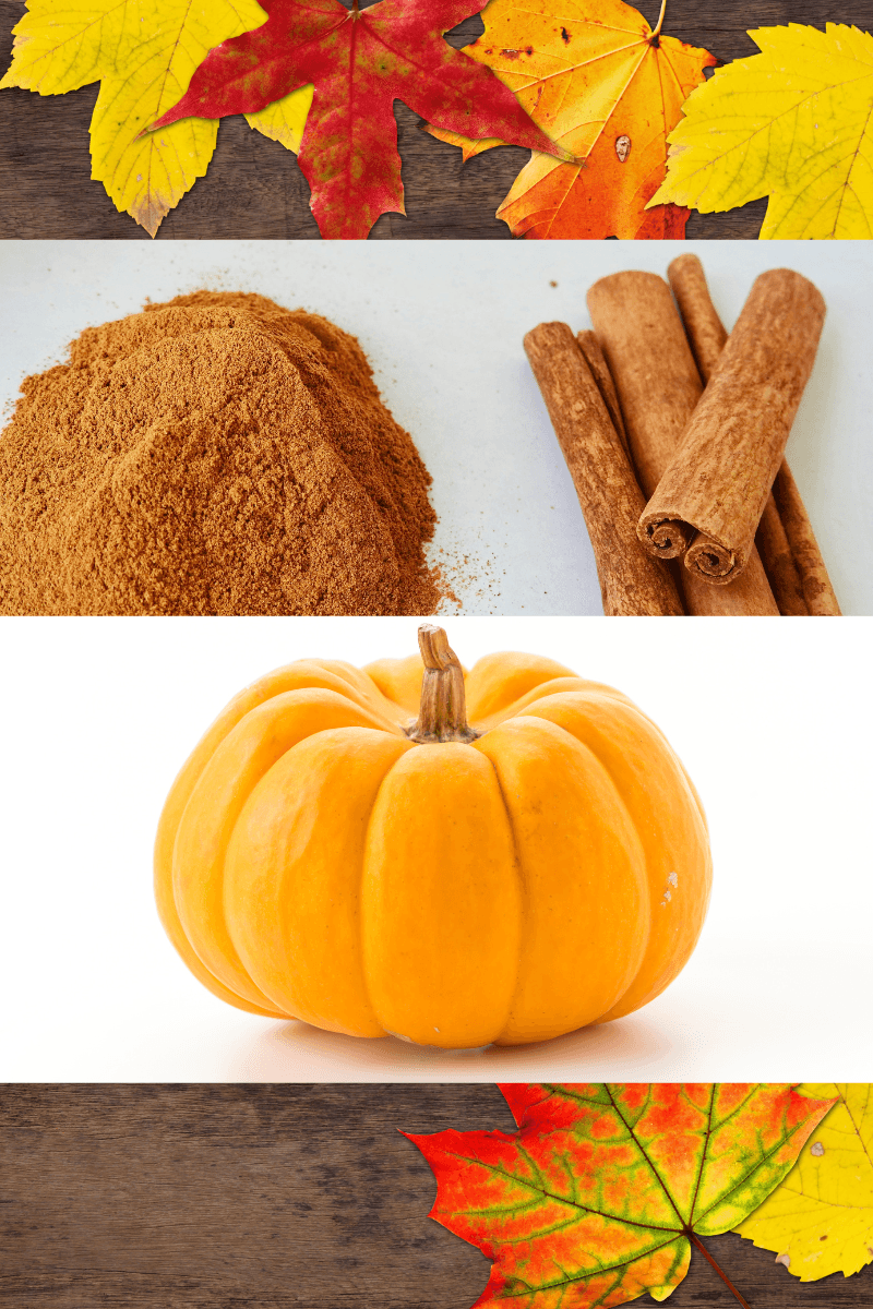 Fall skincare routine  Flatlay of autumn skincare essentials with pumpkin, cinnamon, and leaves |  skincaresolutions.in