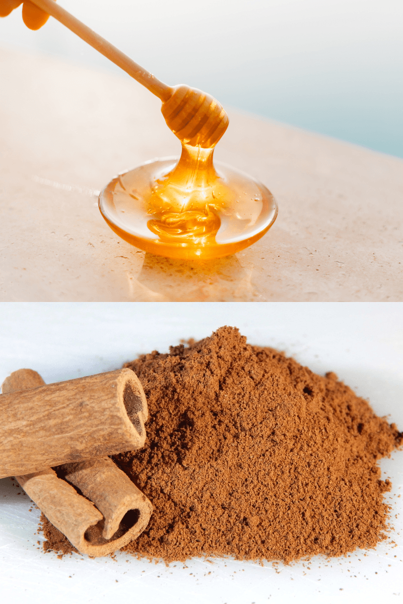 Honey and cinnamon spot corrector for acne marks and blemishes | skincaresolutions.in