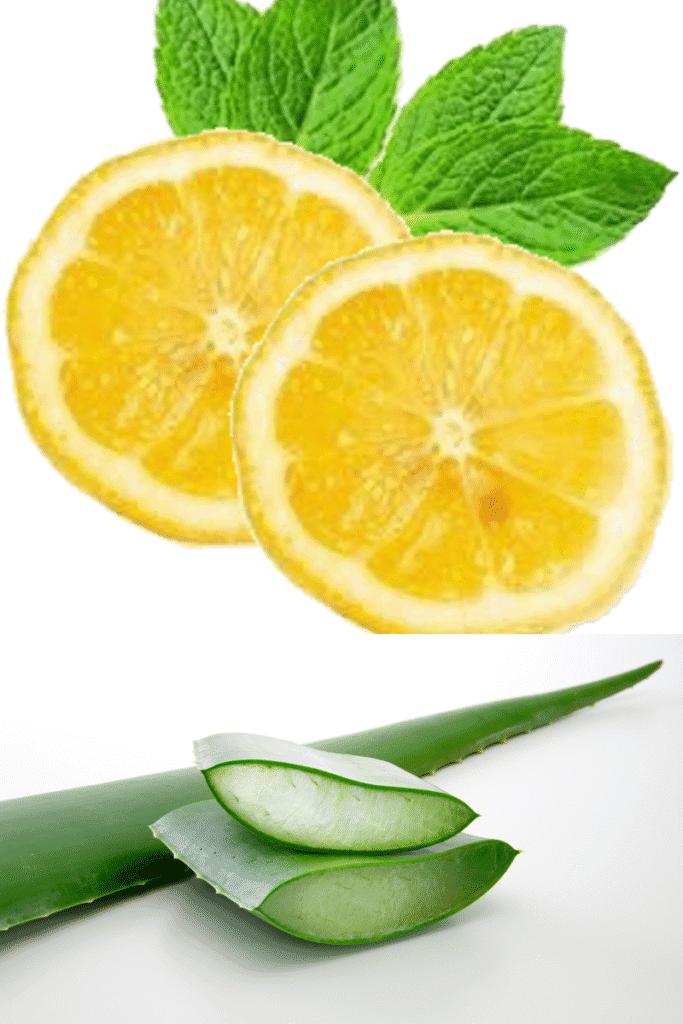 Multani mitti and rose water face pack for spring skin cooling | skincaresolutions.in