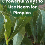 Top 3 Ways to Use Neem for Pimples That Actually Work