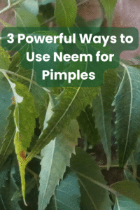 Read more about the article Top 3 Ways to Use Neem for Pimples That Actually Work