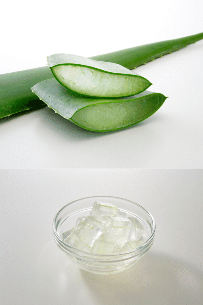 “Fresh aloe vera leaves and gel in a bowl – natural skincare | skincaresolutions.in
