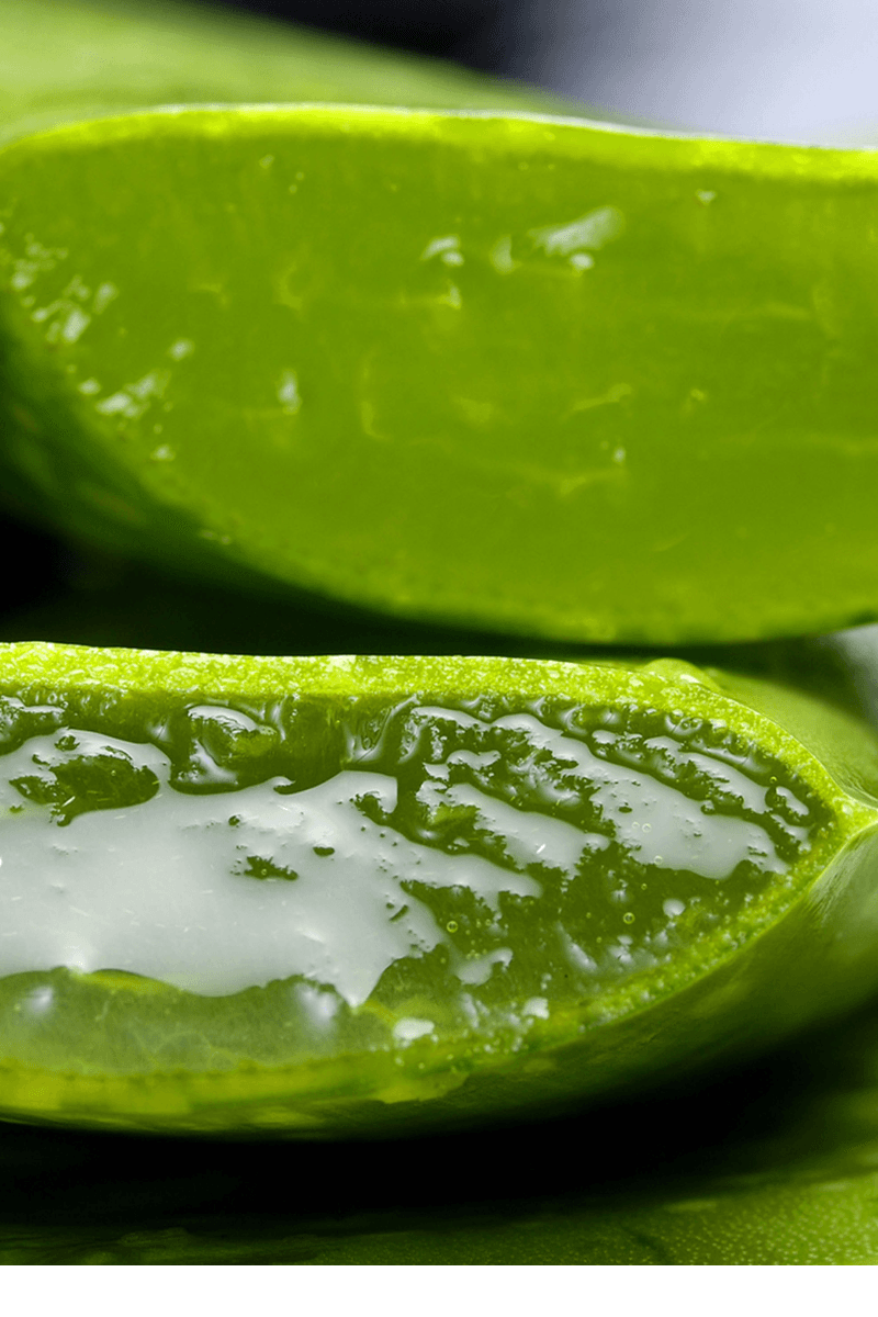 aloe vera for skin .Close-up of fresh aloe vera gel being scooped from a leaf | skincaresolutions.in
