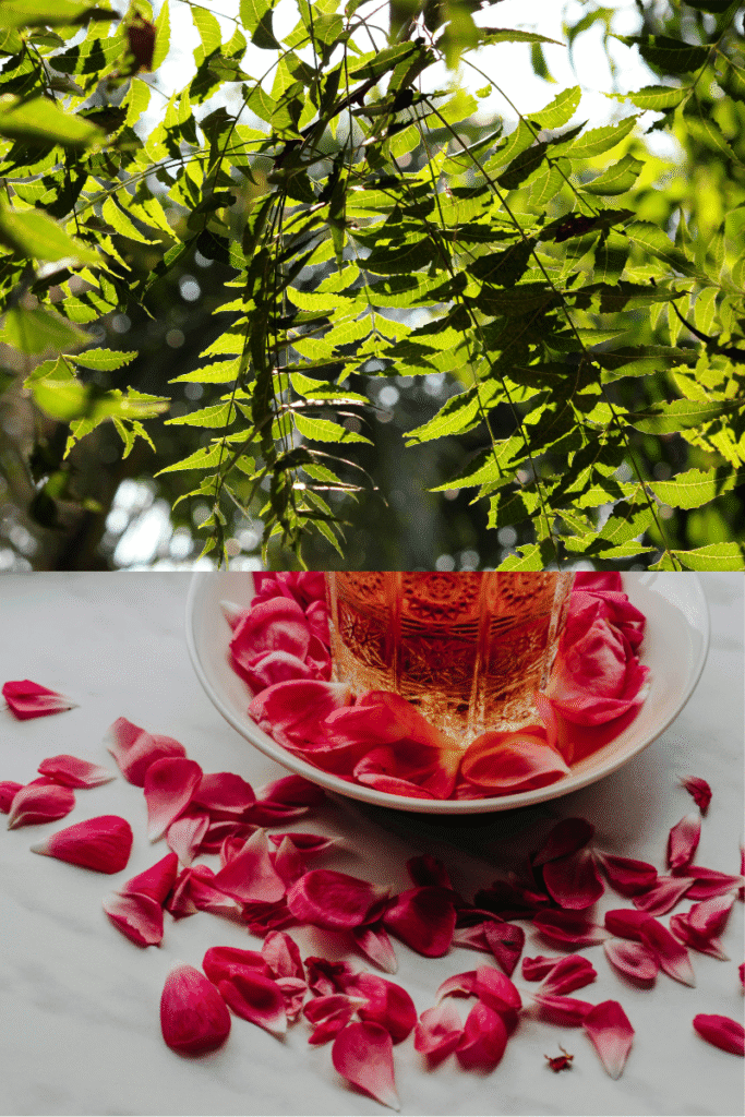 Monsoon seasonal skincare DIY with neem toner and multani mitti mask